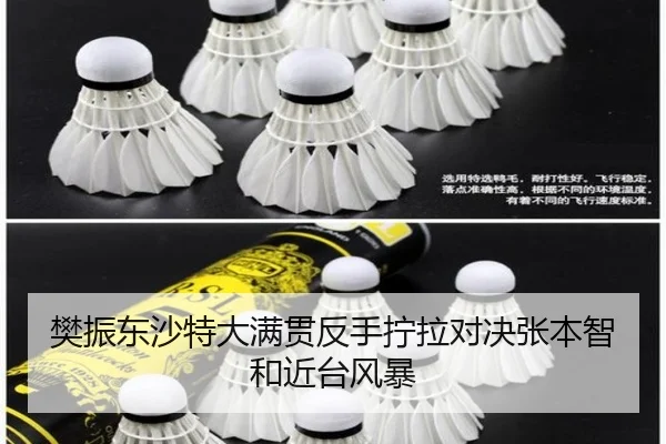 fan-zhen-dong-sha-te-da-man-guan-fan-shou-ning-la-dui-jue-zhang-ben-zhi-he-jin-tai-feng-bao-3-384.jpg