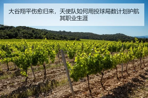 大谷翔平伤愈归来，天使队如何用投球局数计划护航其职业生涯