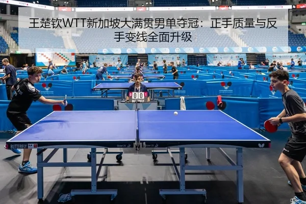 wang-chu-qin-xin-jia-po-da-man-guan-nan-dan-duo-guan-zheng-shou-zhi-liang-yu-fan-shou-bian-xian-quan-mian-sheng-ji-2-177.jpg