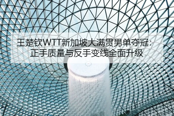 王楚钦WTT新加坡大满贯男单夺冠：正手质量与反手变线全面升级