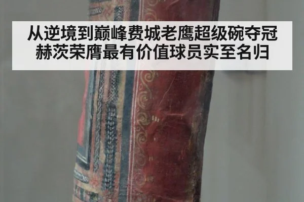 从逆境到巅峰费城老鹰超级碗夺冠赫茨荣膺最有价值球员实至名归