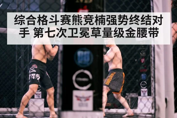 MMA cage fight